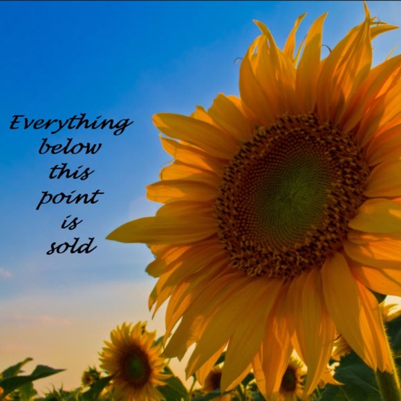 Sold - Picture 1 of 1